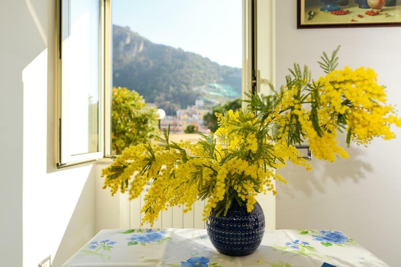 Maiori Dream House Villa Kültér fotó